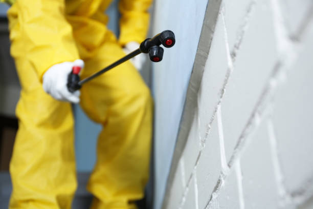 Best Fumigation Services  in USA